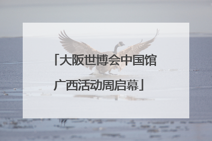大阪世博会中国馆广西活动周启幕