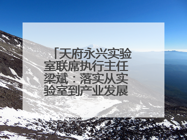 天府永兴实验室联席执行主任梁斌：落实从实验室到产业发展的最后一公里