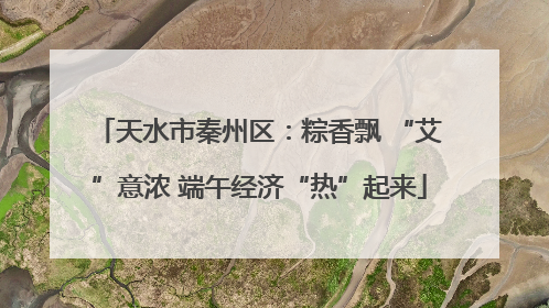 天水市秦州区：粽香飘 “艾”意浓 端午经济“热”起来