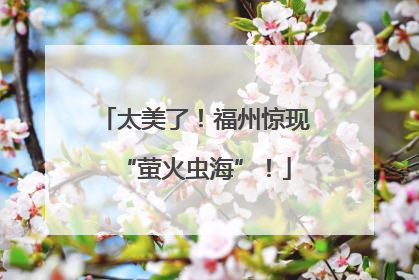 太美了！福州惊现“萤火虫海”！