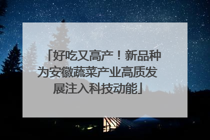 好吃又高产！新品种为安徽蔬菜产业高质发展注入科技动能