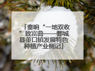 奏响“一地双收”致富曲——鄄城县董口镇发展特色种植产业侧记