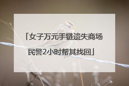 女子万元手链遗失商场 民警2小时帮其找回