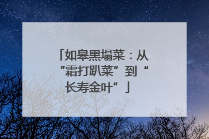 如皋黑塌菜：从“霜打趴菜”到“长寿金叶”