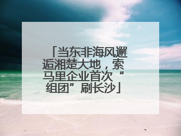 当东非海风邂逅湘楚大地，索马里企业首次“组团”刷长沙