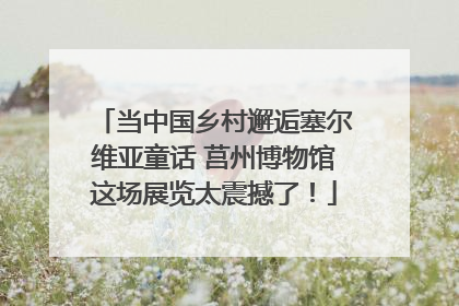 当中国乡村邂逅塞尔维亚童话 莒州博物馆这场展览太震撼了！