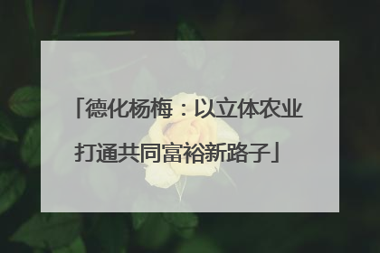 德化杨梅：以立体农业打通共同富裕新路子