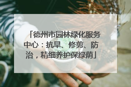 德州市园林绿化服务中心：抗旱、修剪、防治，精细养护保绿荫