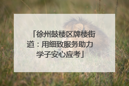 徐州鼓楼区牌楼街道：用细致服务助力学子安心应考