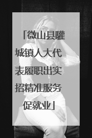 微山县驩城镇人大代表履职出实招精准服务促就业