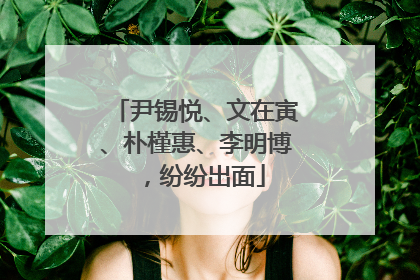 尹锡悦、文在寅、朴槿惠、李明博，纷纷出面