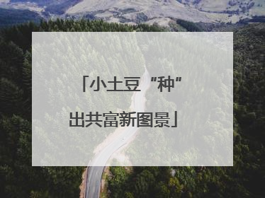 小土豆“种”出共富新图景