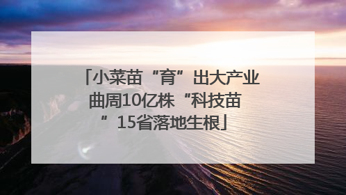 小菜苗“育”出大产业 曲周10亿株“科技苗”15省落地生根