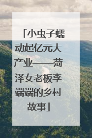 小虫子蠕动起亿元大产业——菏泽女老板李端端的乡村故事