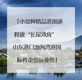 小货种精品港加速释放“长尾效应” 山东港口渤海湾港国际件杂货运业务