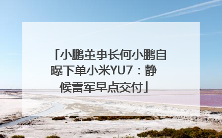 小鹏董事长何小鹏自曝下单小米YU7：静候雷军早点交付
