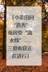 小麦田间“选秀”、蚕房变“流水线”……三夏收获正在进行