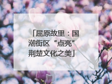 屈原故里：国潮街区“点亮”荆楚文化之美