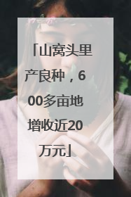 山窝头里产良种，600多亩地增收近20万元