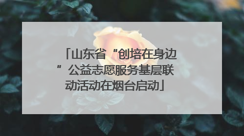 山东省“创培在身边”公益志愿服务基层联动活动在烟台启动