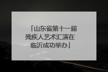 山东省第十一届残疾人艺术汇演在临沂成功举办
