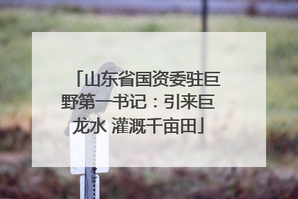 山东省国资委驻巨野第一书记：引来巨龙水 灌溉千亩田