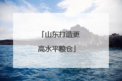山东打造更高水平粮仓