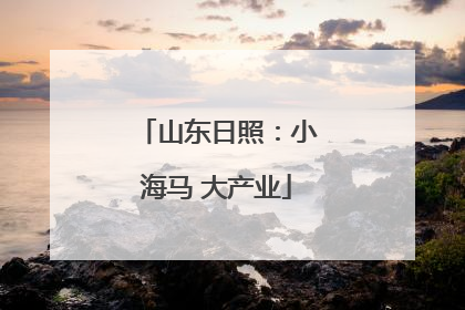 山东日照：小海马 大产业