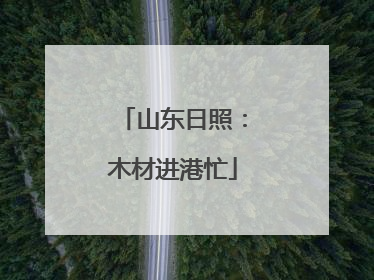 山东日照：木材进港忙