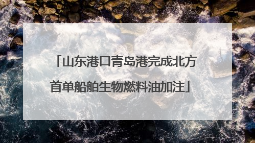 山东港口青岛港完成北方首单船舶生物燃料油加注