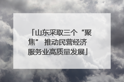 山东采取三个“聚焦” 推动民营经济服务业高质量发展