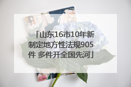 山东16市10年新制定地方性法规905件 多件开全国先河