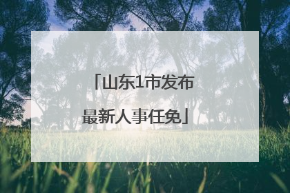 山东1市发布最新人事任免