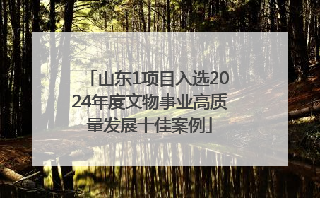 山东1项目入选2024年度文物事业高质量发展十佳案例