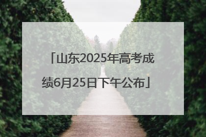 山东2025年高考成绩6月25日下午公布