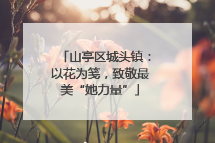 山亭区城头镇：以花为笺，致敬最美“她力量”