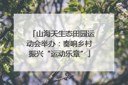 山海天生态田园运动会举办：奏响乡村振兴“运动乐章”