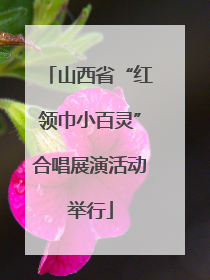 山西省“红领巾小百灵”合唱展演活动举行