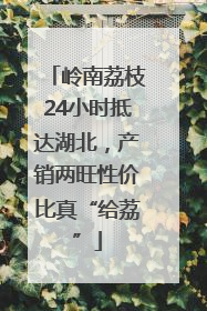 岭南荔枝24小时抵达湖北，产销两旺性价比真“给荔”
