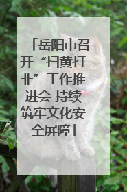 岳阳市召开“扫黄打非”工作推进会 持续筑牢文化安全屏障
