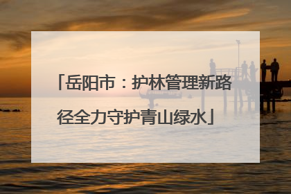 岳阳市：护林管理新路径全力守护青山绿水