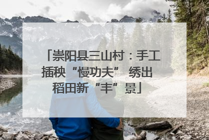 崇阳县三山村：手工插秧“慢功夫” 绣出稻田新“丰”景