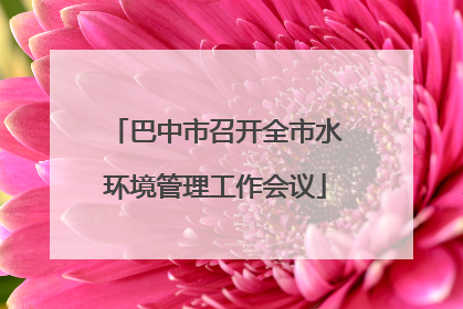 巴中市召开全市水环境管理工作会议