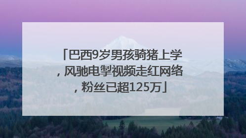 巴西9岁男孩骑猪上学，风驰电掣视频走红网络，粉丝已超125万