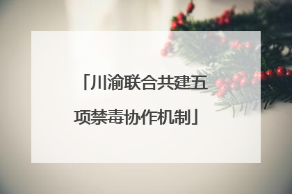 川渝联合共建五项禁毒协作机制