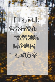 工行河北省分行发布“数智领航 赋企惠民”行动方案