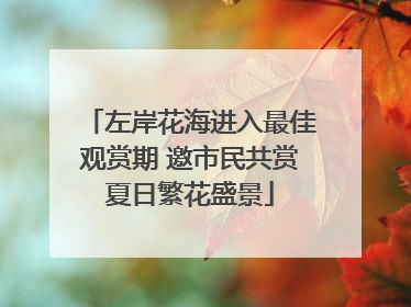 左岸花海进入最佳观赏期 邀市民共赏夏日繁花盛景