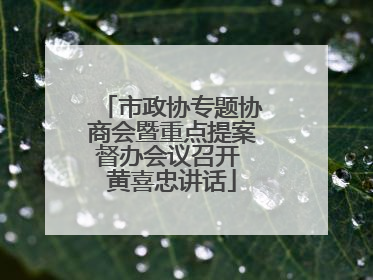 市政协专题协商会暨重点提案督办会议召开 黄喜忠讲话