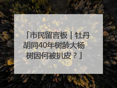 市民留言板｜牡丹胡同40年树龄大杨树因何被扒皮？