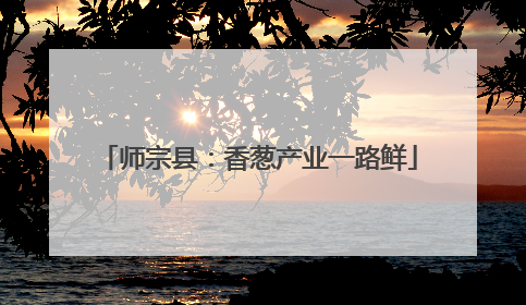 师宗县：香葱产业一路鲜